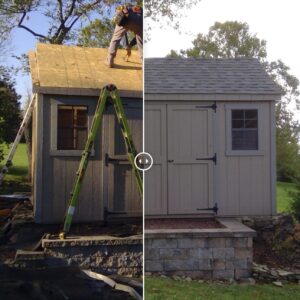 Country Tyme Sheds – Shed Repair Service